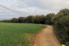 27.04.2019 08:05:27 