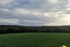 27.04.2019 08:07:11 