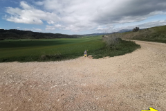 27.04.2019 11:54:42 