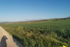 28.04.2019 08:14:50 