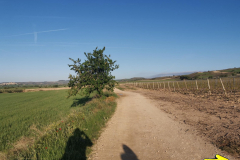 28.04.2019 08:30:10 