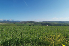 28.04.2019 09:46:22 