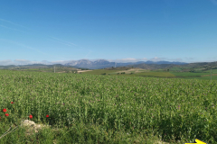 28.04.2019 09:46:24 