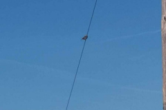 28.04.2019 10:12:56 