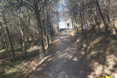 28.04.2019 10:14:42 