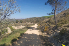 28.04.2019 10:35:39 
