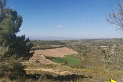 28.04.2019 10:35:42 