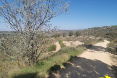 28.04.2019 10:35:46 
