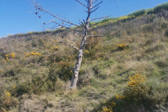 28.04.2019 10:36:28 