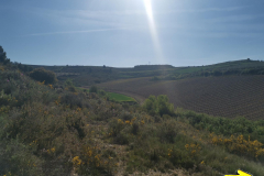 28.04.2019 10:44:18 