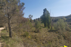 28.04.2019 10:51:04 