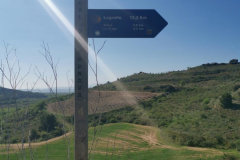 28.04.2019 11:15:38 