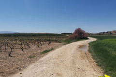28.04.2019 14:41:36 