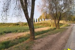 29.04.2019 07:34:50
