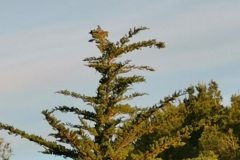 29.04.2019 07:46:20