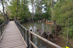 29.04.2019 07:52:27