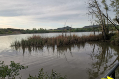 29.04.2019 07:52:31
