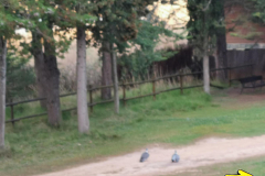 29.04.2019 07:56:49 