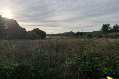 29.04.2019 08:08:32 