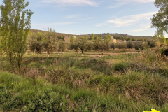 29.04.2019 08:16:43 