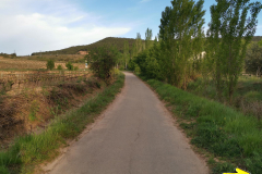 29.04.2019 08:16:44 