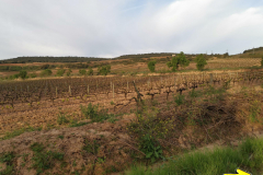 29.04.2019 08:16:46 