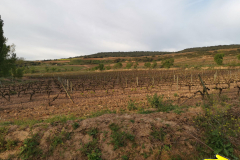 29.04.2019 08:16:48 