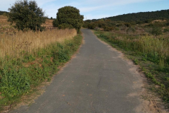 29.04.2019 08:30:44 