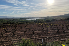 29.04.2019 08:35:17 