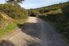 29.04.2019 08:38:10 