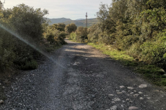 29.04.2019 08:38:18 