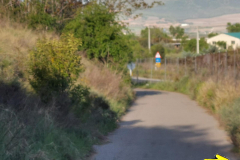 29.04.2019 08:52:16