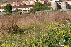 29.04.2019 09:05:10
