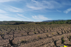 29.04.2019 10:18:56