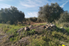 29.04.2019 10:21:00 