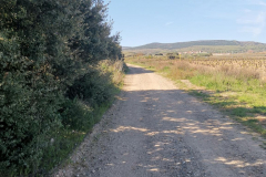 29.04.2019 10:23:07 