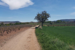 29.04.2019 13:42:55 