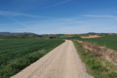 30.04.2019 09:51:56 