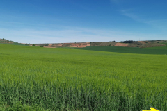 30.04.2019 10:18:58 