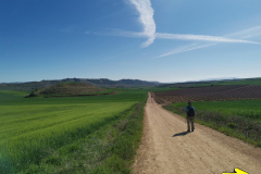 30.04.2019 10:19:02 