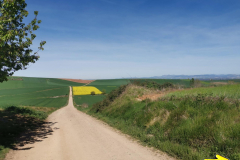 30.04.2019 11:31:19 