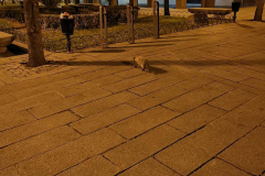 01.05.2019 06:12:14 