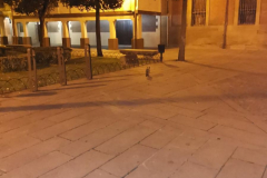 01.05.2019 06:12:21 