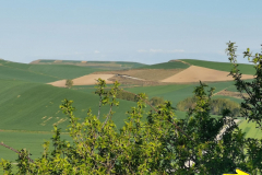 01.05.2019 08:55:53 