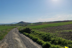 01.05.2019 09:16:23 