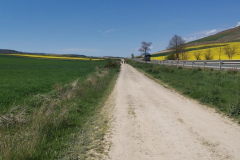 01.05.2019 12:29:44 