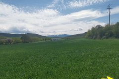 01.05.2019 14:31:43 