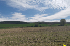 01.05.2019 14:59:31 
