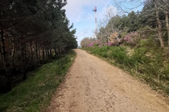 02.05.2019 10:06:00 