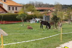 02.05.2019 12:37:58 